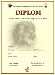 Výtvarný a grafický návrh, Diplom-SVS